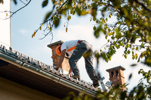 Best Roof Waterproofing Services  in Roberta, GA