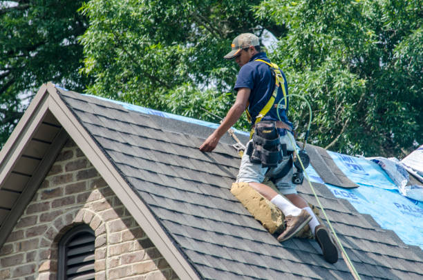 Best Sealant for Roof  in Roberta, GA